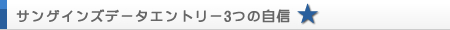サンゲインズデータエントリー3つの自信